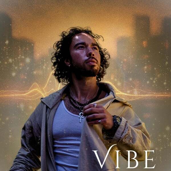 Cover art for Vibe